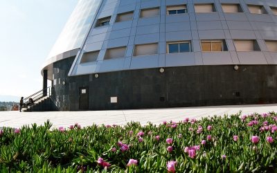 Erasmus+ student international mobility program at the University of Jaén (2023-2024)