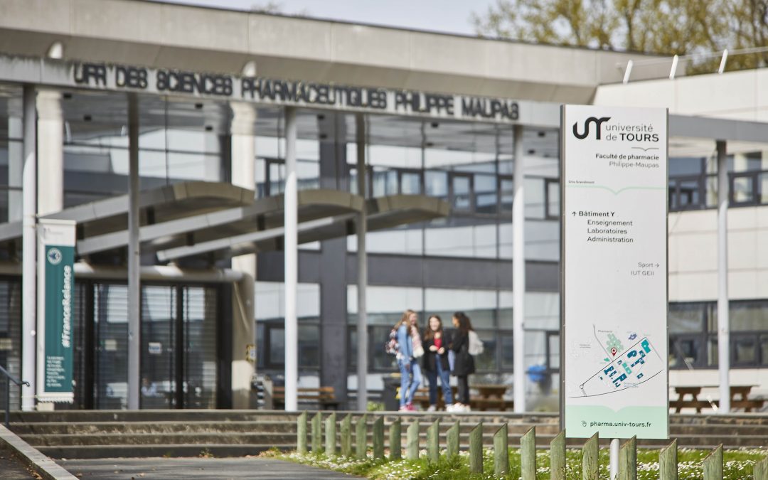 Exploring the University of Tours (UT) Timeline Dataset
