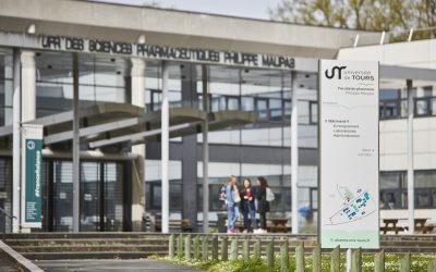 Exploring the University of Tours (UT) Timeline Dataset