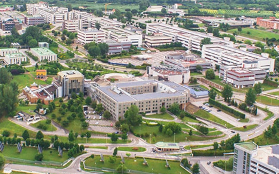 Inside the Numbers: Exploring Degree Programs at the University of Salerno, 2024–2025