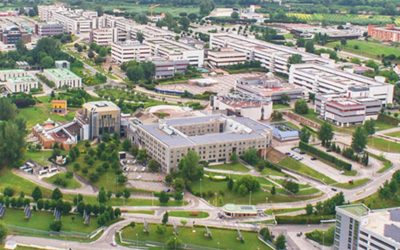 Inside the Numbers: Exploring Degree Programs at the University of Salerno, 2024–2025